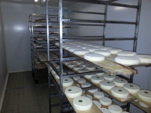 agriculture 3